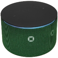 Умная колонка Яндекс Новая Станция Мини 3 Про, зеленый