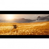 Ghost of Yotei Collector's Edition для PS5