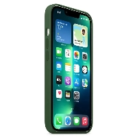 Apple iPhone 13 Pro Silicone Case, Clover, зеленый