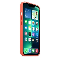 Apple iPhone 13 Pro Silicone Case, Orange, оранжевый