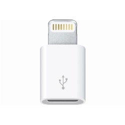 Адаптер питания Apple Lightning to Micro USB Adapter (MD820)