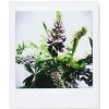 Fujifilm Colorfilm Instax Square Link 20шт