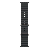 Смарт-часы Apple Watch Ultra 2 2024 49 мм, Natural Titanium Case with Black Ocean Band