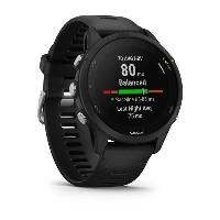 Умные часы Garmin Forerunner 255 Music, Black, черный