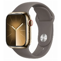 Умные часы Apple Watch Series 9 45 мм, M/L, Gold Stainless Steel Case with Sport Band Clay