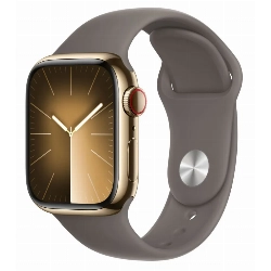 Умные часы Apple Watch Series 9 45 мм, M/L, Gold Stainless Steel Case with Sport Band Clay