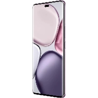 Смартфон Honor X9c, 8/256 Гб, Purple, фиолетовый