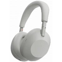 Беспроводные наушники Sony WH-1000XM6, Silver, серебристый