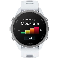 Умные часы Garmin Forerunner 170 Whitestone / Cloud Blue