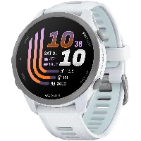 Умные часы Garmin Forerunner 170 Whitestone / Cloud Blue