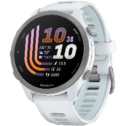 Умные часы Garmin Forerunner 170 Whitestone / Cloud Blue
