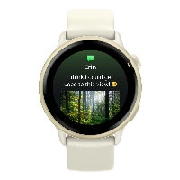 Смарт-часы Garmin Vivoactive 6, Lunar Gold/Bone