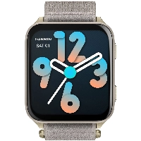Смарт-часы Garmin Venu X1, Soft Gold Titanium / French Gray