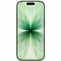 Смартфон Apple iPhone 17 512 GB, Dual SIM (nano SIM+eSIM), Sage