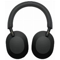 Беспроводные наушники Sony WH-1000XM5, Black, черный