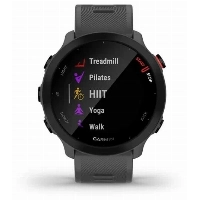 Умные часы Garmin Forerunner 55,  (010-02562-13),  Gray, серый 