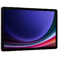 Планшет Samsung Galaxy Tab S9, 12/256 ГБ, Wi-Fi,  Gray, серый 