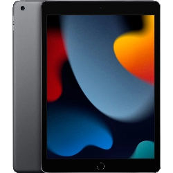 Планшет Apple iPad 10.2 2021, 3/256ГБ, Wi-Fi, Gray, серый 