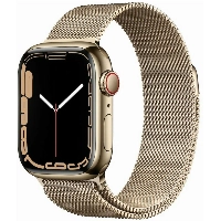 Умные часы Apple Watch Series 7 45 мм, Stainless Steel Case with Milanese Loop, Gold