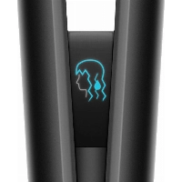 Выпрямитель для волос Dyson AirStrait HT01, Onyx/Gold