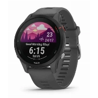 Умные часы Garmin Forerunner 255 Basic, Slate Gray