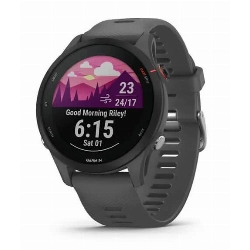 Умные часы Garmin Forerunner 255 Basic, Slate Gray